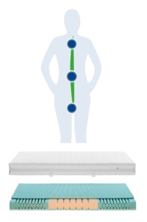 HEIA Körpertyp I Typus